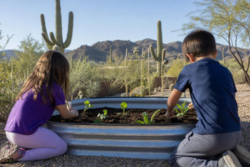 Two children planting seedlings in a galvanized raised garden bed in a Sonoran Desert backyard with saguaros behind them