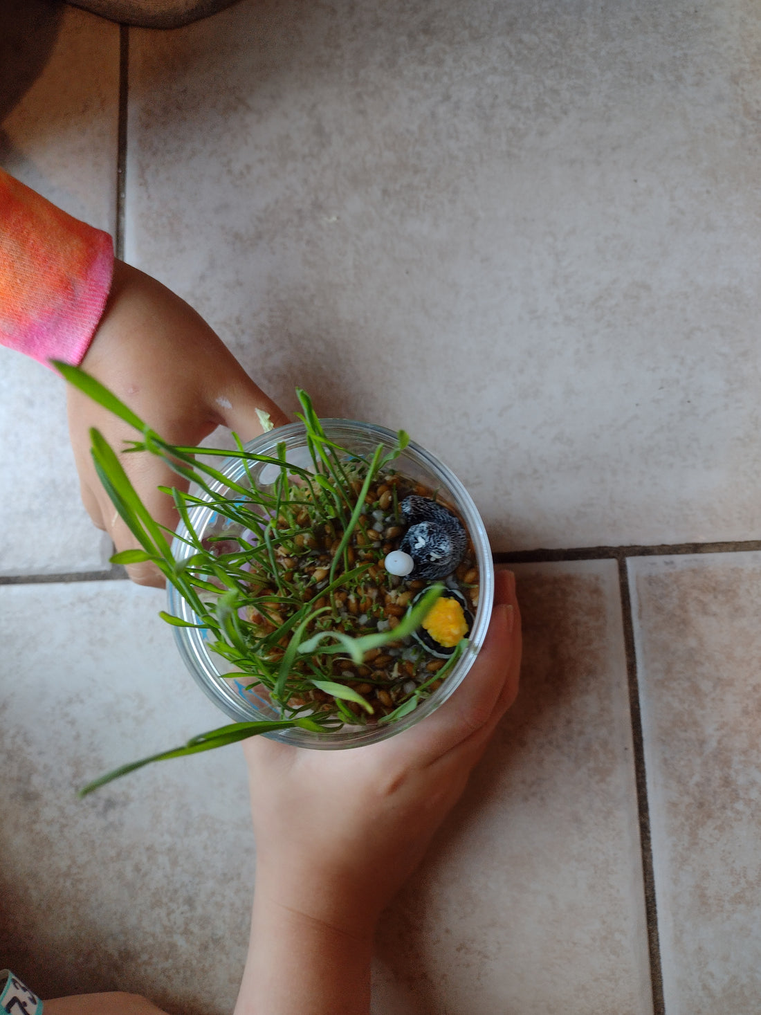 How to make the perfect terrarium with your kids