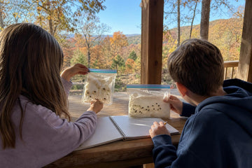 Children on a porch checking bags of sprouting sunflower seeds with autumn Ozark woods in Arkansas in the background