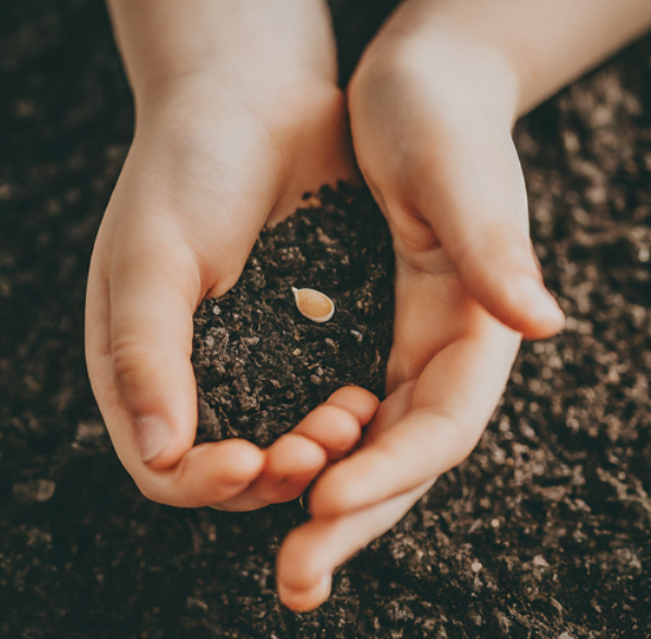 Educational and Health Benefits of Horticulture for Kids