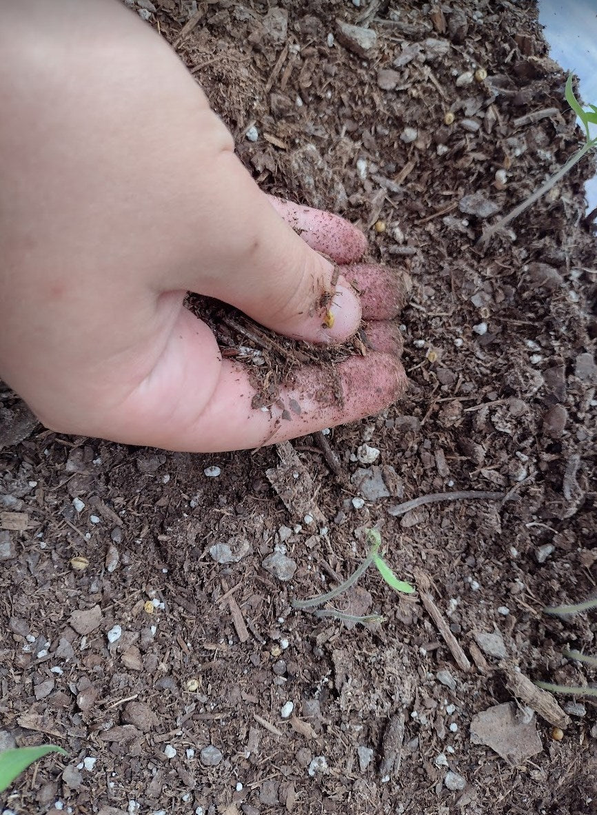 Benefits of getting dirty with soil