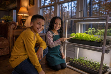 A smiling boy in a mustard shirt and a girl with braids in a teal pinafore kneel beside a white grow-light rack full of leafy seedlings, with large windows behind them at dusk