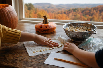 Two children's hands arranging rinsed pumpkin seeds on a wooden table next to a carved jack-o'-lantern, a colander of seeds and a plastic bag, with autumn-colored hills outside the window