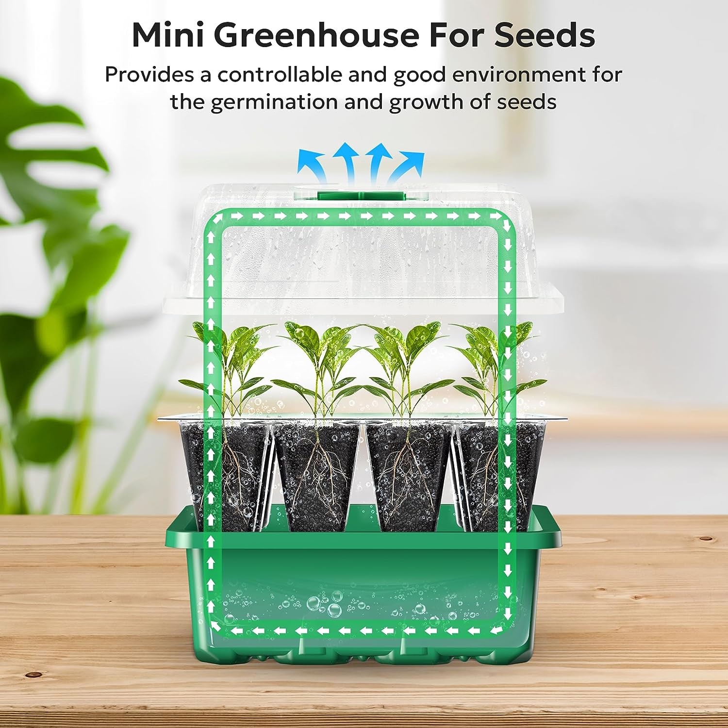 10 Packs Seed Starter Tray Seed Starter Kit with Humidity Dome (120 Cells Total Tray) Seed Starting Trays Plant Starter Kit and Base Mini Greenhouse Germination Kit for Seeds Growing Starting