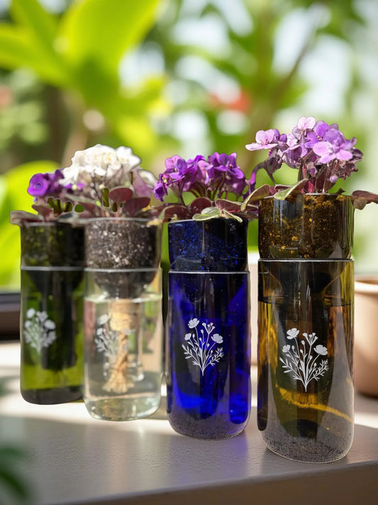 Etched African Violet Wine Bottle Hydro Planter (1) One - (Self Watering) Eco Friendly, Grow Indoors, Eco Planter, DIY Planter Kit