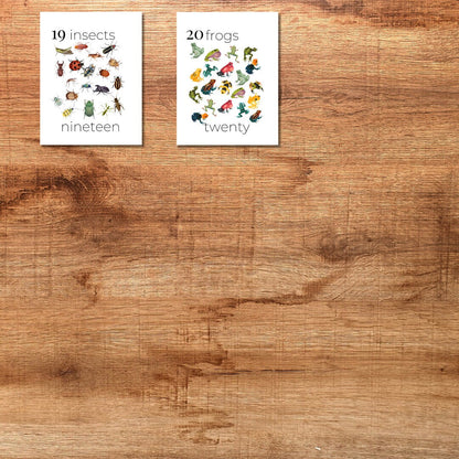 Nature Number Cards 1-20 Classroom Math Counting Cards Nursery Wall Art Montessori Pre K Homeschool Activities Classroom Nature Aesthetic