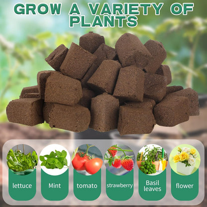Hydroponic Sponges Grow Starter Pods Organic Growth Sponge Starter Plugs for Plant Cloning Growing (50 Pcs)