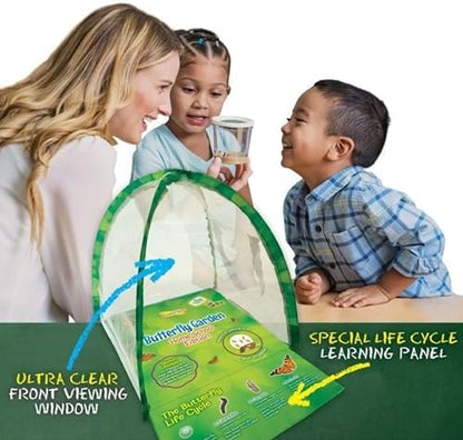 Butterfly Garden Home School Kit | Live Cup of Caterpillars | Ultra-Clear Observation Dome | Fold-Out Life Cycle Panel | STEM Butterfly Journal | Raise Painted Lady Butterflies