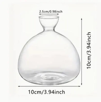 Acorn Vase Seed Holder Jar, Grow Your Own Oak Tree Seed in a Glass Vessel, Germination Starter