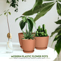 - Plastic Terracotta Pots with Drainage - 7/6.6/6/5.3/4.8 Inches Flower Pots for Indoor Planter - Pack of 5 Plastic Planters, Cactus, Succulents Pot