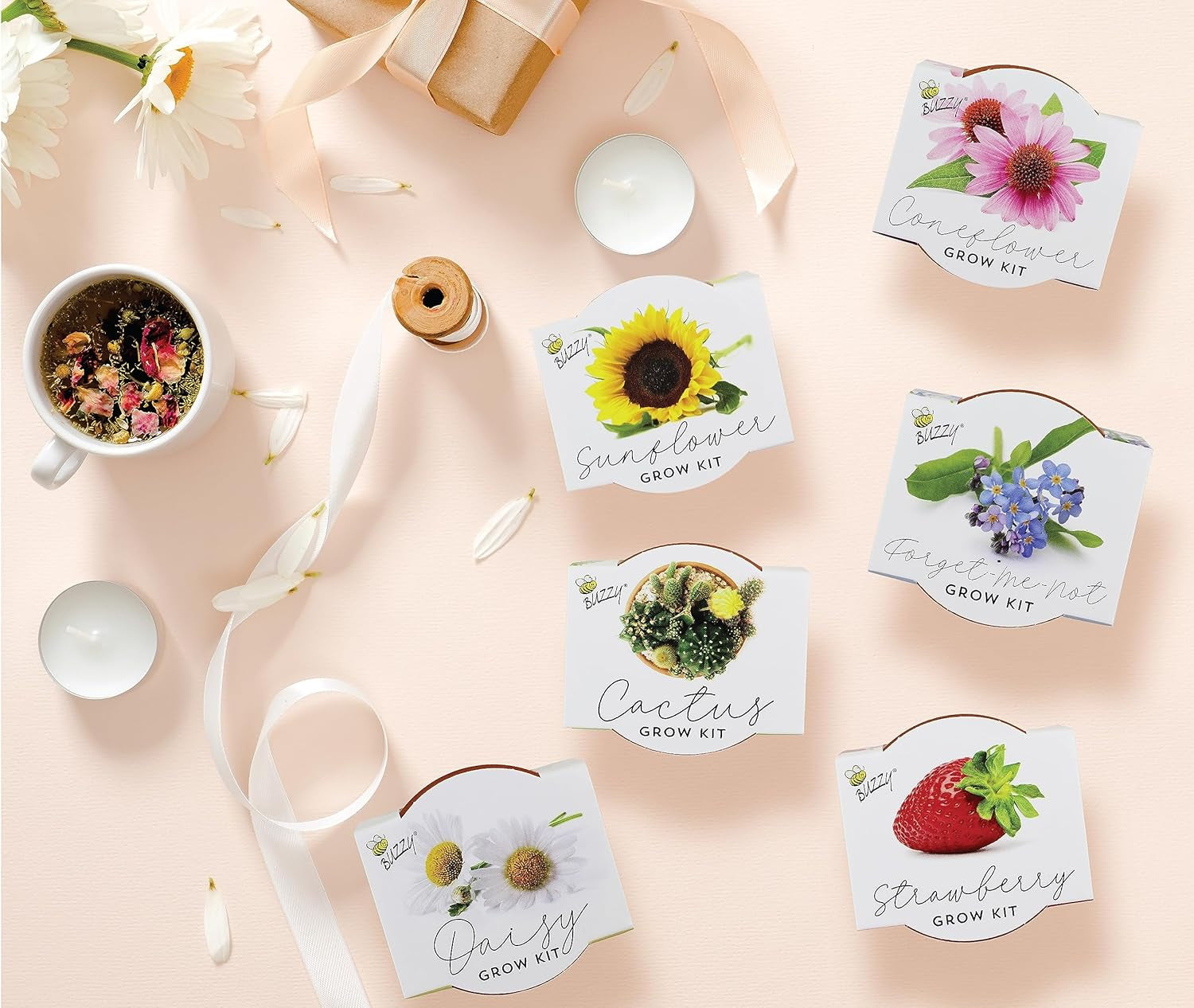 Seeds Terracotta Mini Grow Pots 6-Pack – Indoor Gardening Seed Starter Kit with Herbs & Flowers – DIY Grow Your Own Plants Kit for Beginners