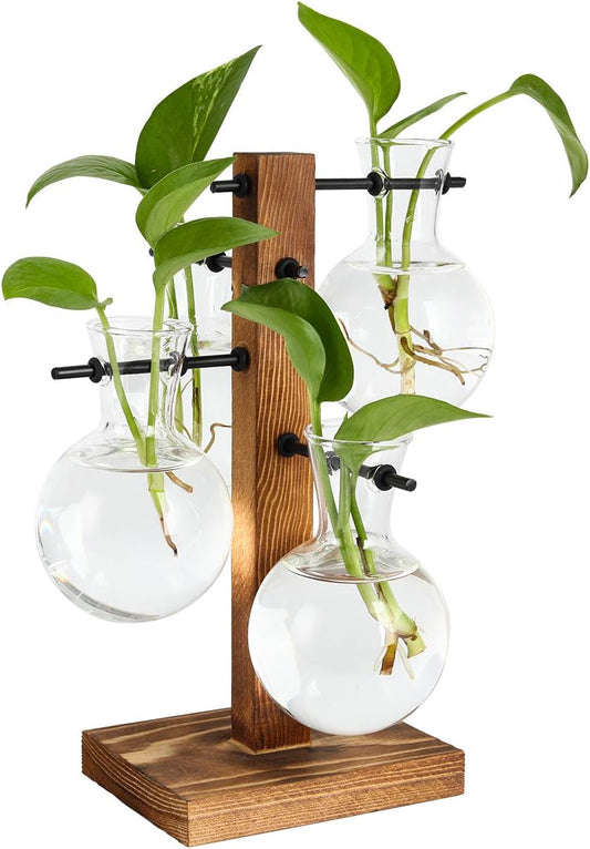 Desktop Planter Terrariums Kit, Indoor Hydroponics Proation Vases for Plants, Home Office Garden Decor, Birthday Gift for Women, with 4 Glass Vase and Solid Wood Stand