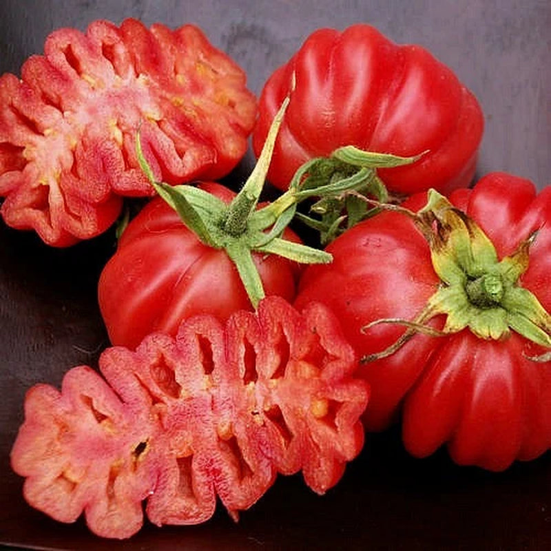 Zapotec ruffled tomato, rare Mexican heirloom, 10 seeds, loves dry heat, sweet flavor, scalloped slices, drought tolerant