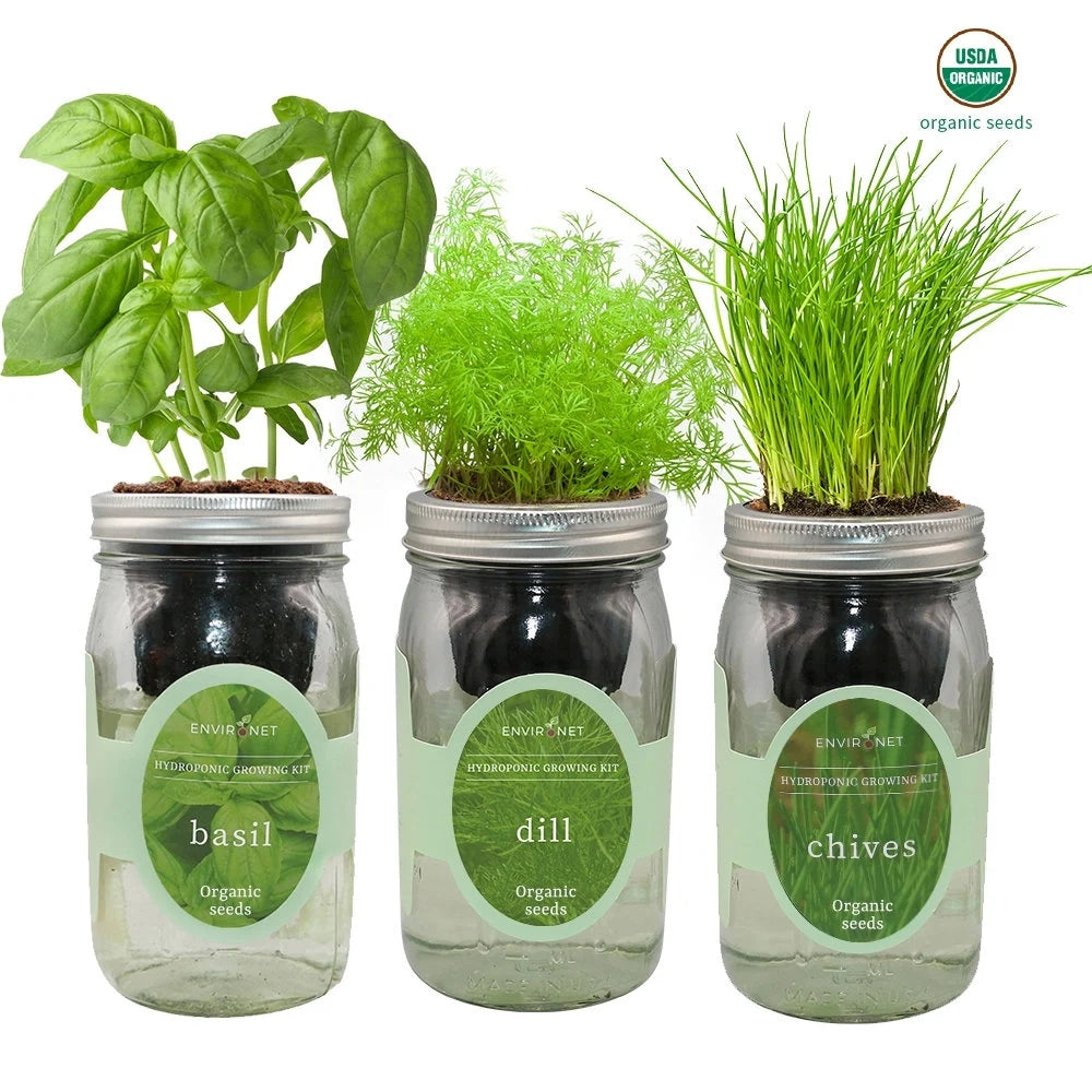 Herb Garden Trio - Mason Jar Hydroponic Kit Set with Organic Seeds, Gardening Gift