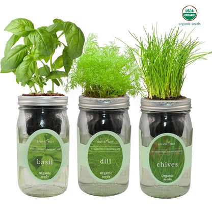 Herb Garden Trio - Mason Jar Hydroponic Kit Set with Organic Seeds, Gardening Gift