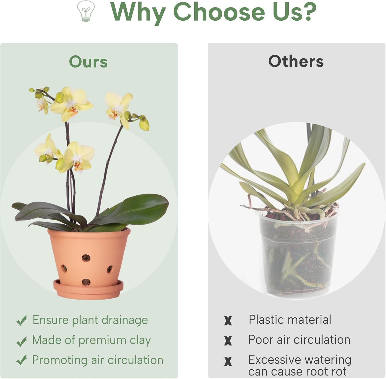 6 Inch Terracotta Orchid Pots with Holes, Saucers - 3 Pack Clay Orchid Planter Pots for Repotting, Small Terra Cotta Pot, Indoor & Outdoor, Promotes Air Circulation