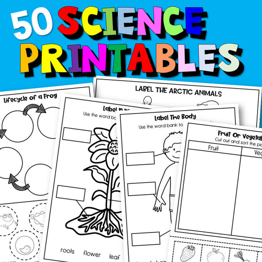 Science Worksheets For Kindergarten And Homeschool