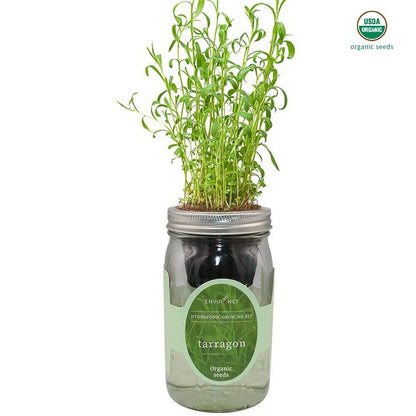 Mason Jar Hydroponic Herb Kit, Gardening Gift