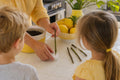 A parent and two children at a sunny kitchen table dipping a bare, leafless lemon tree cutting into rooting powder