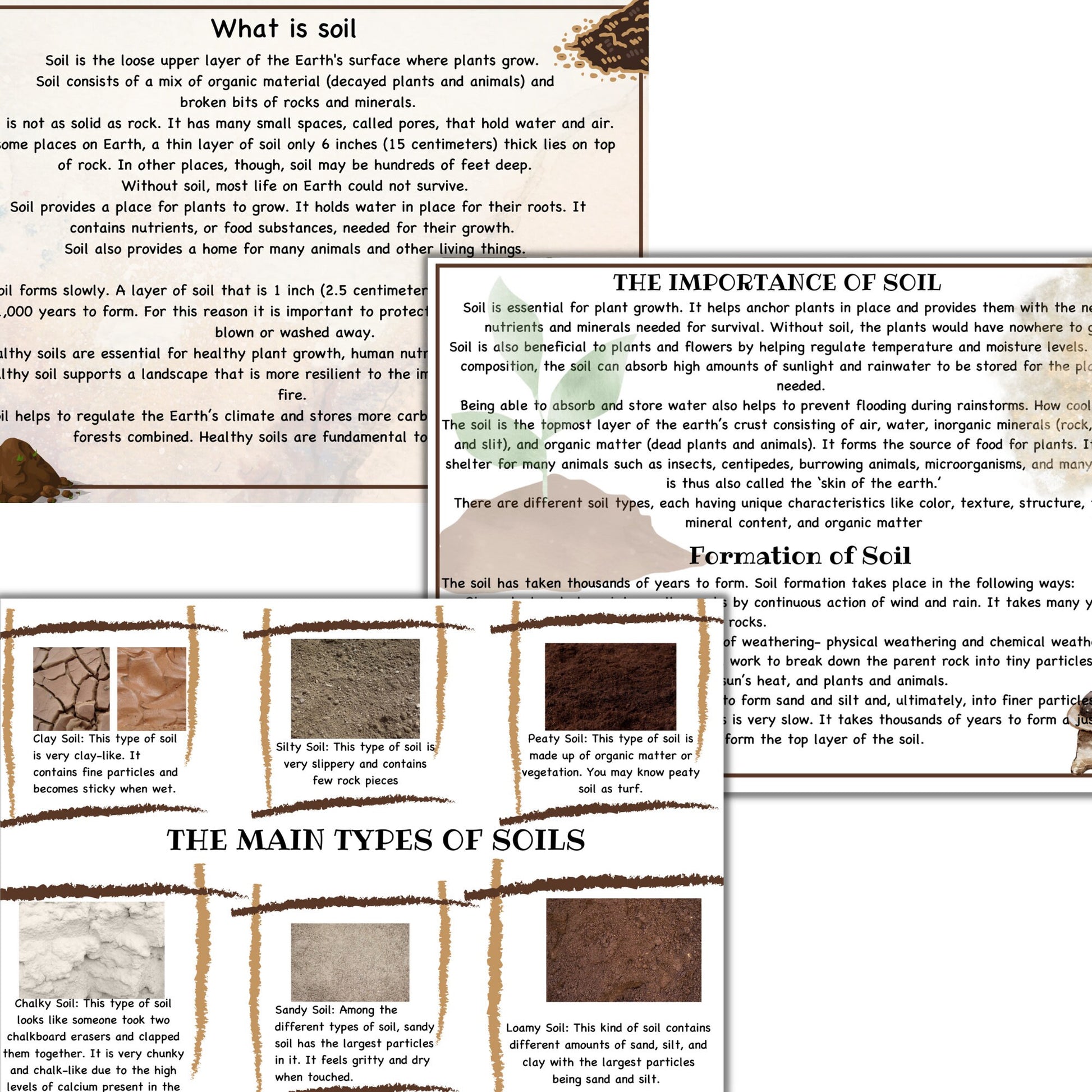 Garden unit study, Roots  anatomy, seed anatomy, soil layers, roots montessori 3 part cards, types of soil,germination activity, spring unit