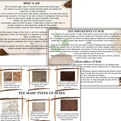 Garden unit study, Roots  anatomy, seed anatomy, soil layers, roots montessori 3 part cards, types of soil,germination activity, spring unit