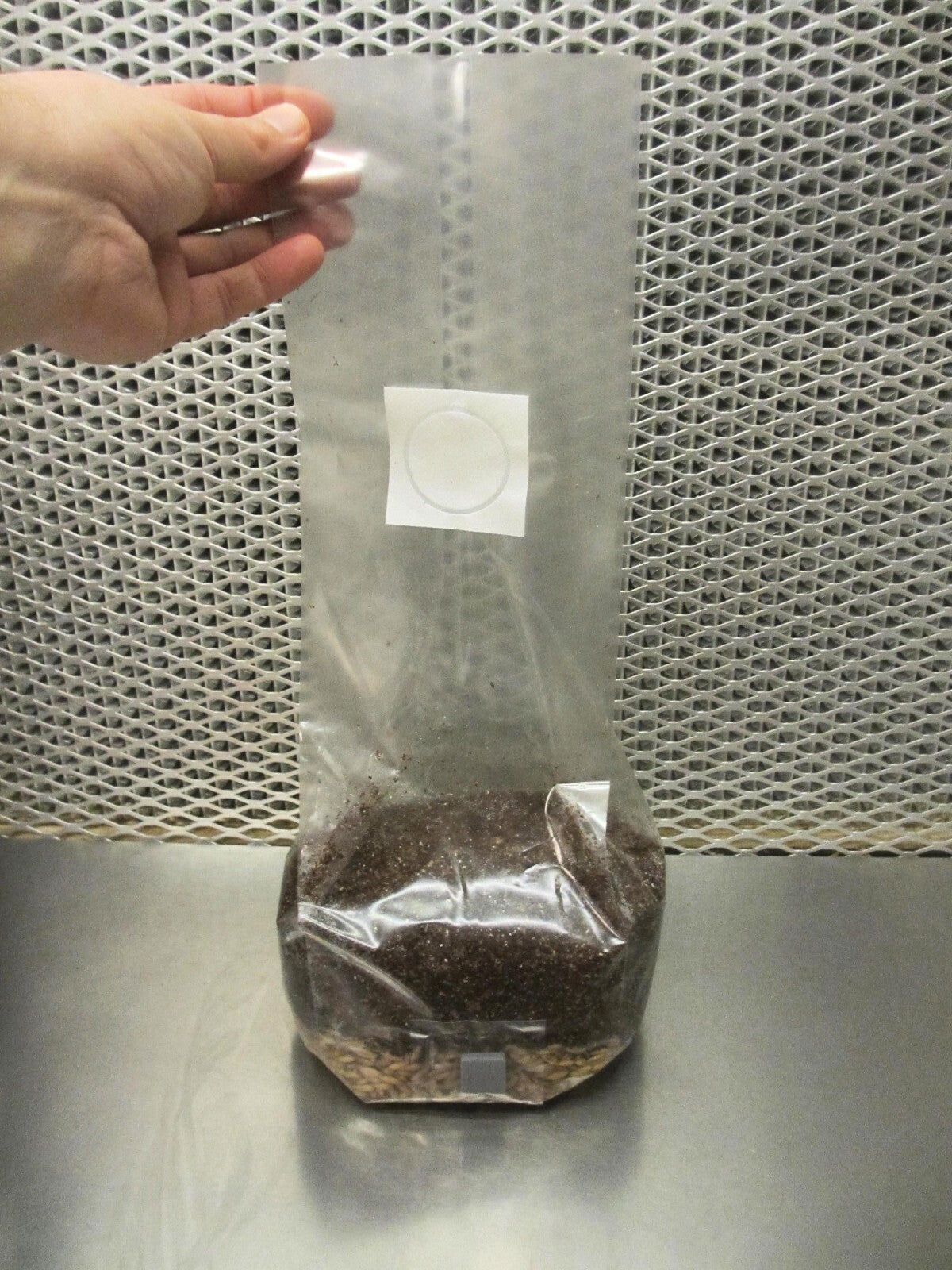 All In One Mushroom Grow Bags 2 X 2 LBS - Dung Lovers Substrate Injection Port