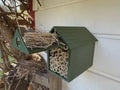 Bee Hotel