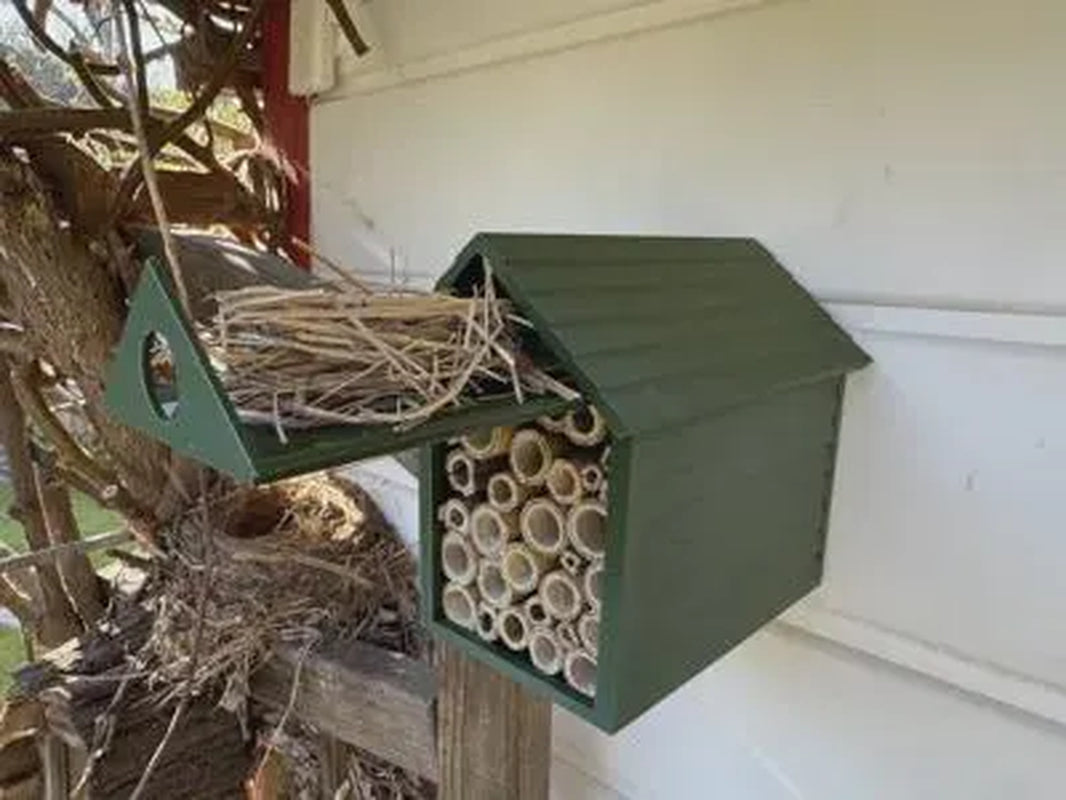 Bee Hotel