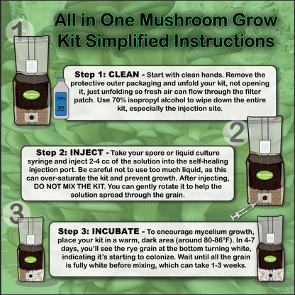 MycoHaus All in One 5 Pound Spawn Bag Rye & Compost Mushroom Substrate Grow Kit
