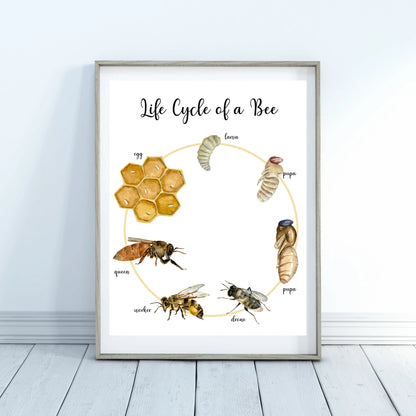 Life Cycle Insect / Bugs Educational posters set of 9, Homeschool learning, Montessori Classroom Décor, Wall Art - with states labeled