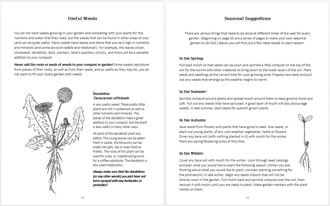 DIGITAL PDF Version - Garden Journal for Kids - 8.5 x 11 and A4 Size Formats