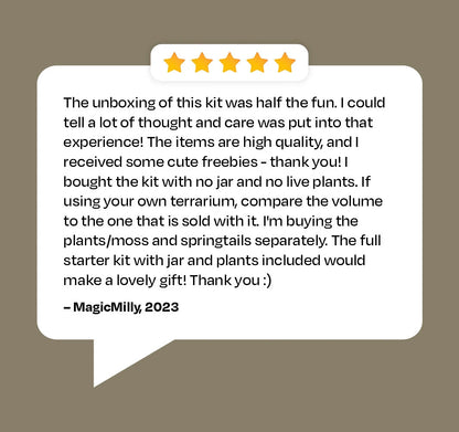 Large Terrarium Kit DIY / live Moss / Tropical Plant, bioactive terrarium, Holiday, birthday gift, Halloween gift, stem kit for kids