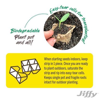 Peat Strips Seed Starter Kit , 50 Pots , Jiffy
