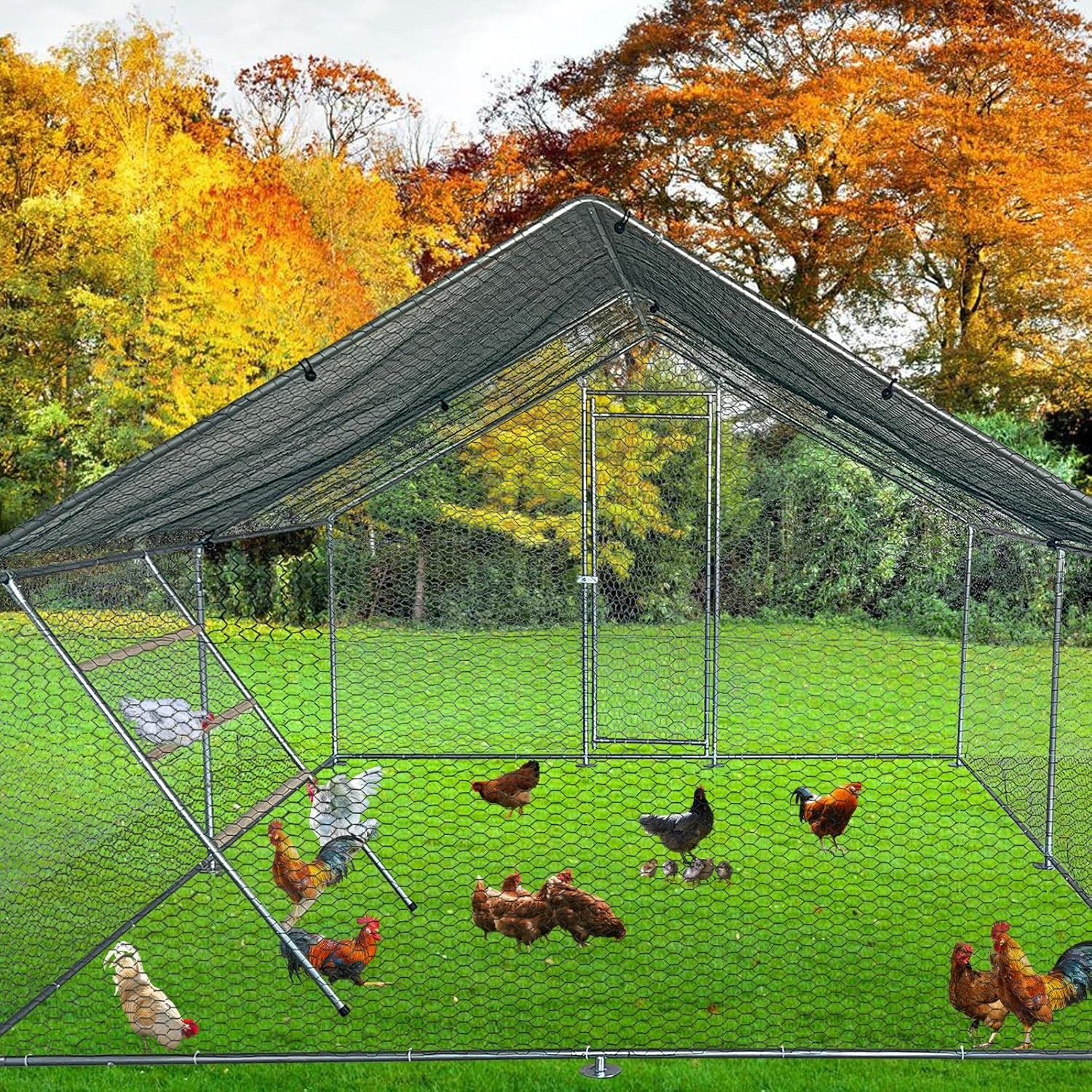 Chicken Perch Set for Chicken Coop, Chicken Roosting Ladder Sturdy and Easy Assembly Galvanized and Log Material, Chicken Roost Perfect for Backyard Poultry Funny Chicken Toys (40" W x 55" H)
