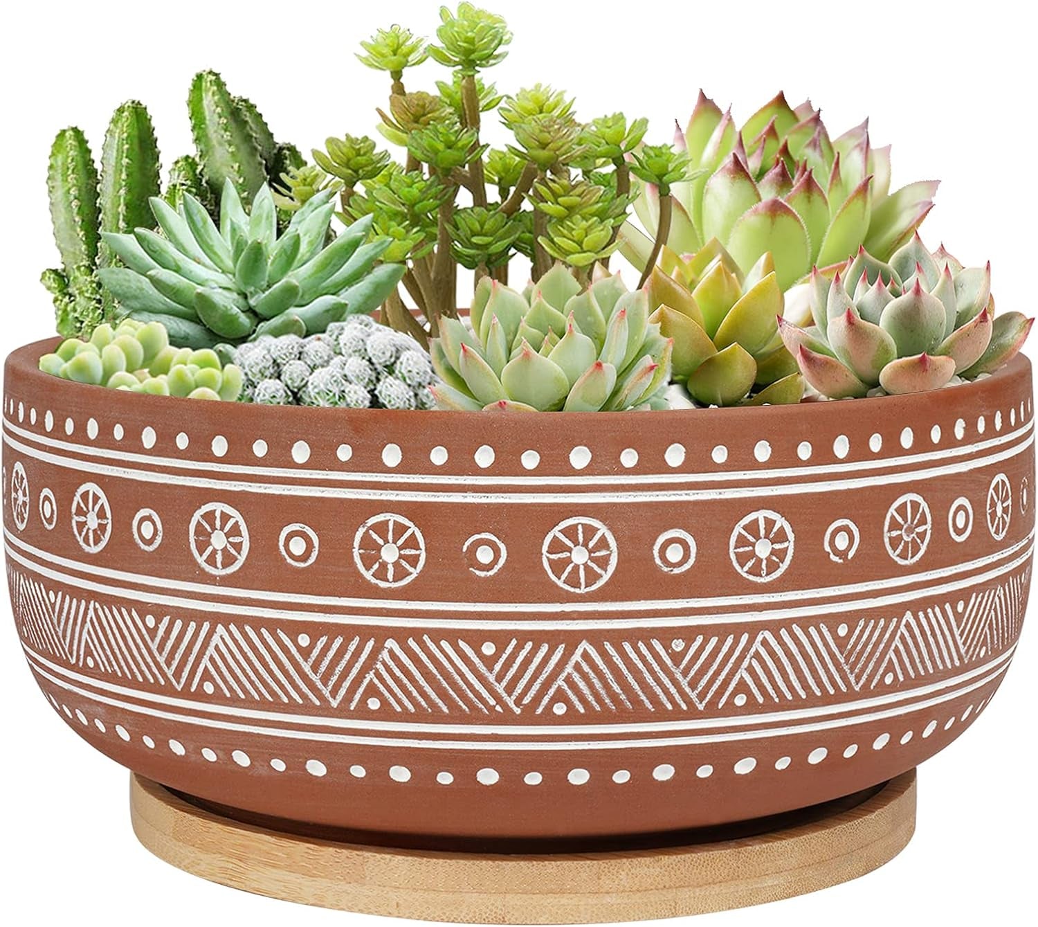 8 Inch Terracotta Succulent Planter Pot with Drainage Hole and Bamboo Tray, Round Shallow Bonsai Pot for Indoor Plants