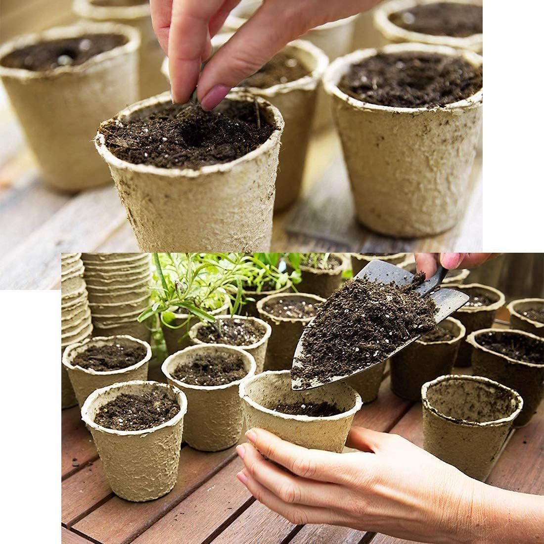 120 Packs 3 Inch Peat Pots Plant Starters for Seedling with 15 Pcs Plant Labels, Biodegradable Herb Seed Starter Pots Kits, Garden Germination Nursery Pot