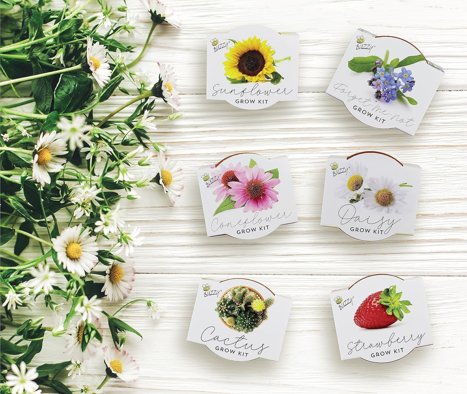 Seeds Terracotta Mini Grow Pots 6-Pack – Indoor Gardening Seed Starter Kit with Herbs & Flowers – DIY Grow Your Own Plants Kit for Beginners