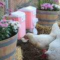 Cottage Pink Chicken Feeder Waterer Set