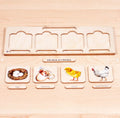 Wooden Life Cycle of a Chicken | Life Cycle Set: Chicken | Chicken Model | Life of a Chicken