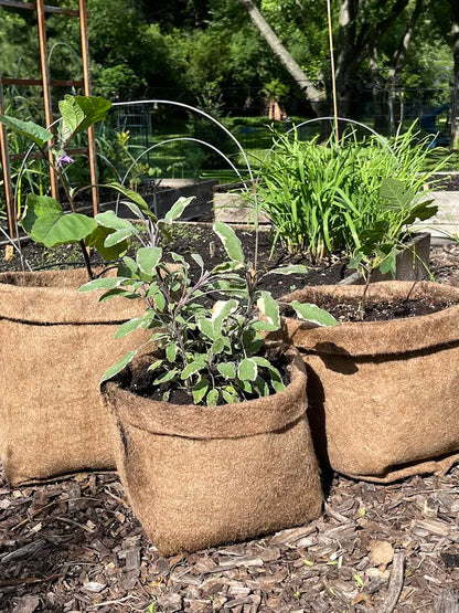 Hemp Material Pot Planter: Eco-Friendly Grow Bag