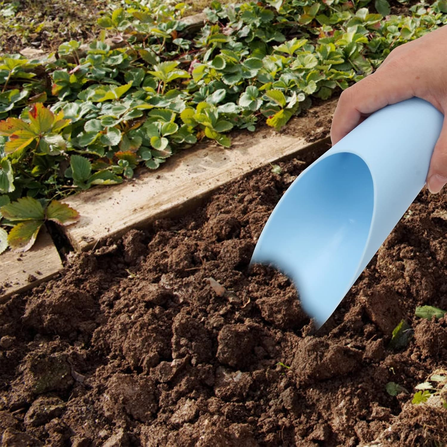 Bonsai Soil Scoops, 5 PCS Plastic Garden Soil Scoops, Colorful Small Soil Scoops, Gardening Tools