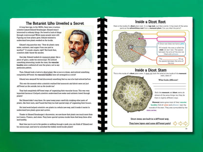 Botany Workbook for Homeschoolers - Grades 5–12 - Creative, Credit-Worthy Plant Science - Homeschool Middle School - Neurodivergent Friendly