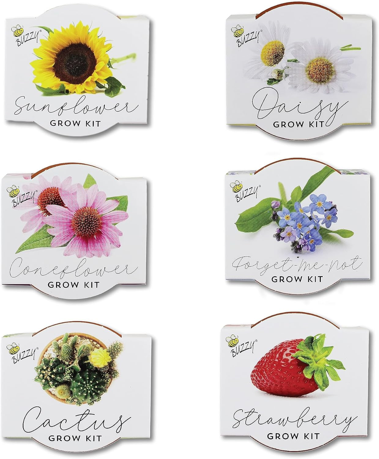 Seeds Terracotta Mini Grow Pots 6-Pack – Indoor Gardening Seed Starter Kit with Herbs & Flowers – DIY Grow Your Own Plants Kit for Beginners