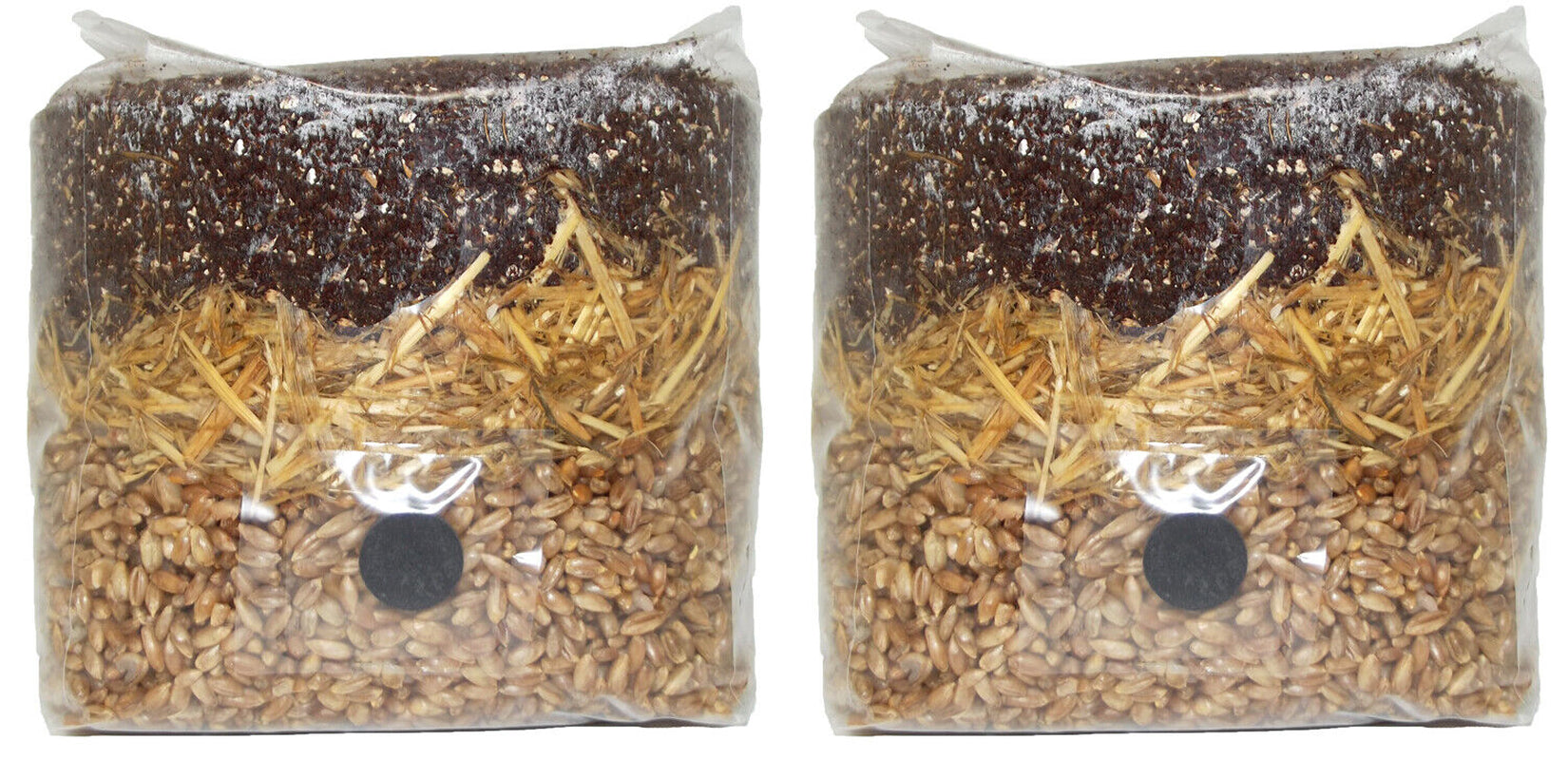 All in One Mushroom Grow Bag 2-Pack) | For Dung Loving Mushrooms | Ready To Use