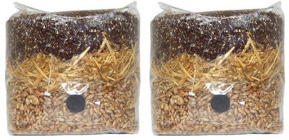 All in One Mushroom Grow Bag 2-Pack) | For Dung Loving Mushrooms | Ready To Use