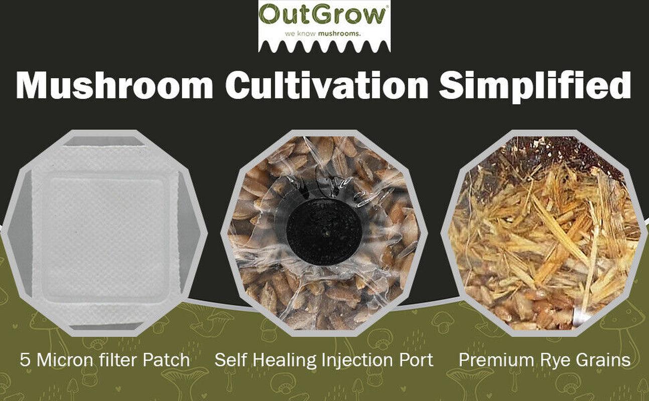 All in One Mushroom Grow Bag 2-Pack) | For Dung Loving Mushrooms | Ready To Use