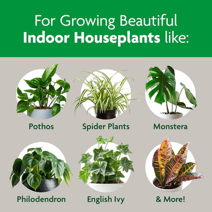 Indoor Potting Mix, Blended for a Variety of Houseplants, Feeds for up to 6 Months, 6 qt., 2-Pack