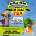 Wiggle Worm Pure Worm Castings Tea Organic Liquid Fertilizer Concentrate, 1 Gal