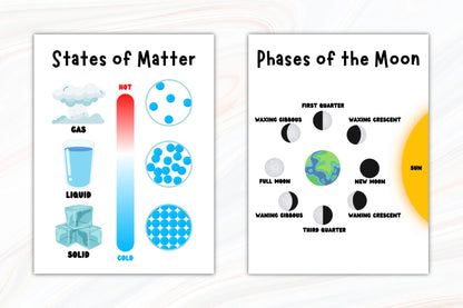 Set of 8 Educational Science Posters: Printable PDFs for Playroom or School, Educational Wall Art, Kids, Homeschool