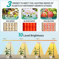 Grow Lights for Indoor Plants Full Spectrum with Stand LED Standing Plant Lights